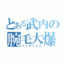 とある武内の腕毛大爆発（インデックス）