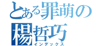 とある罪萌の楊哲巧（インデックス）