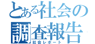 とある社会の調査報告（社会レポート）