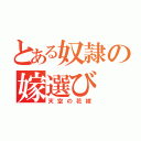 とある奴隷の嫁選び（天空の花嫁）