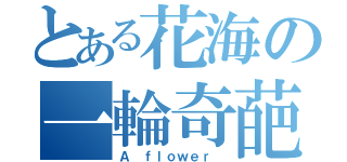 とある花海の一輪奇葩 （Ａ ｆｌｏｗｅｒ ）