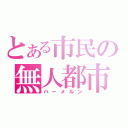 とある市民の無人都市（ハーメルン）