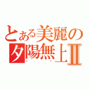 とある美麗の夕陽無上限Ⅱ（喵喵）