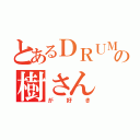 とあるＤＲＵＭＳの樹さん（が好き）