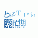 とあるＴｉｅｒ２の繁忙期（ＡＣＤレース）