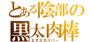 とある陰部の黒太肉棒（エクスカリバー）