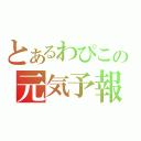 とあるわぴこの元気予報（）