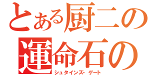 とある厨二の運命石の扉（シュタインズ・ゲート）