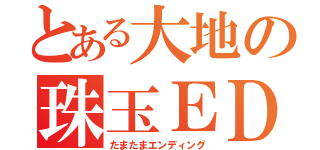 とある大地の珠玉ＥＤ（たまたまエンディング）