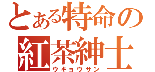 とある特命の紅茶紳士（ウキョウサン）