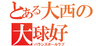 とある大西の大球好（バランスボールラブ）