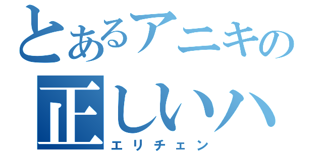 とあるアニキの正しいハメ方（エリチェン）