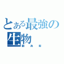 とある最強の生物（劉為新）