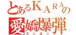 とあるＫＡＲＡの愛嬌爆弾（スンヨン）