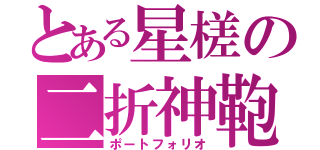 とある星槎の二折神鞄（ポートフォリオ）