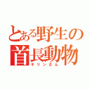 とある野生の首長動物（キリンさん）