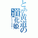 とある黄道の道化姫（トリックスター）