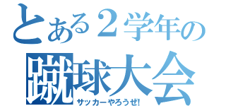 とある２学年の蹴球大会（サッカーやろうぜ！）