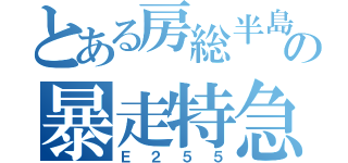 とある房総半島の暴走特急（Ｅ２５５）