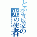 とある宵坂家の光の使者（ウルトラヒーロー）