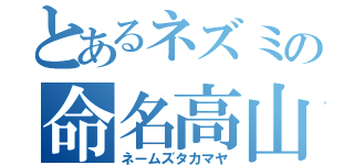 とあるネズミの命名高山（ネームズタカマヤ）