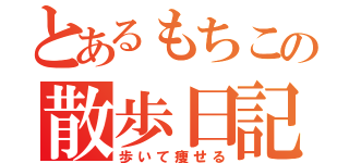 とあるもちこの散歩日記（歩いて痩せる）