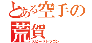 とある空手の荒賀（スピードドラゴン）