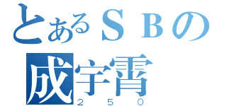 とあるＳＢの成宇霄（２５０）