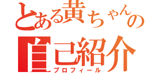 とある黄ちゃんの自己紹介（プロフィール）