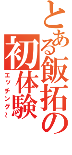 とある飯拓の初体験　（エッチング～）