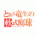 とある竜生の軟式庭球（ソフトテニス）