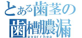 とある歯茎の歯槽膿漏（ｐｙｏｒｒｈｅａ）