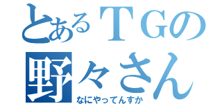 とあるＴＧの野々さん（なにやってんすか）