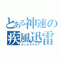 とある神速の疾風迅雷（カンムルキルア）