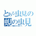 とある虫見の蜆の虫見（厳選された蜆です。）