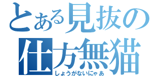 とある見抜の仕方無猫（しょうがないにゃあ）