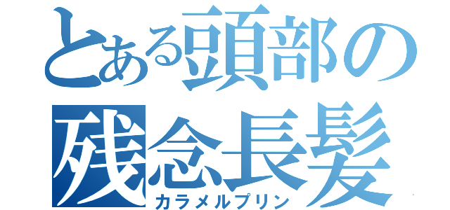 とある頭部の残念長髪（カラメルプリン）