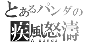 とあるパンダの疾風怒濤（Ａ ｐａｎｄａ）