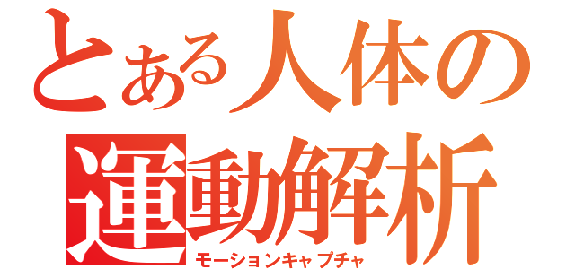 とある人体の運動解析（モーションキャプチャ）