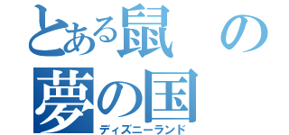 とある鼠の夢の国（ディズニーランド）