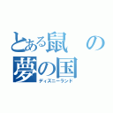 とある鼠の夢の国（ディズニーランド）