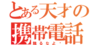 とある天才の携帯電話（触るなよ〜）