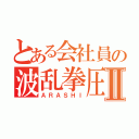 とある会社員の波乱拳圧者Ⅱ（ＡＲＡＳＨＩ）