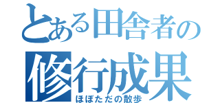 とある田舎者の修行成果（ほぼただの散歩）