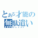 とある才能の無駄遣い（ウェイスト）