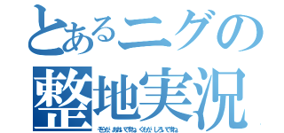 とあるニグの整地実況（そらが、あおいですね。くもが、しろいですね。）