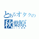 とあるオタクの秋葉原（ニート世界）