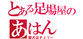 とある足場屋のあはん（愛犬はチェリー）