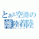 とある空港の離陸着陸（Ｒａｉｌｓｉｍ）