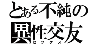 とある不純の異性交友（セックス）